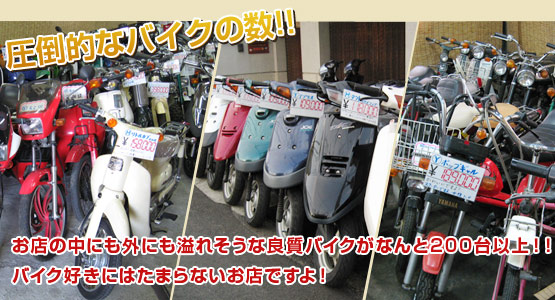 圧倒的なバイクの数！！お店の中にも外にも溢れそうな良質バイクがなんと200台！！バイク好きにはたまらないお店ですよ！